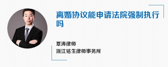 离婚协议能申请法院强制执行吗