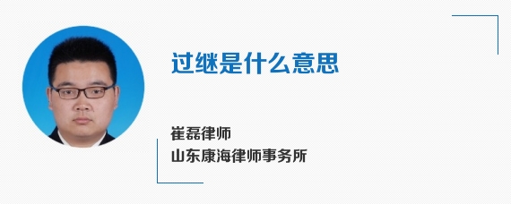 过继是什么意思