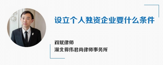 设立个人独资企业要什么条件