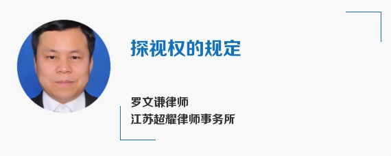 探视权的规定