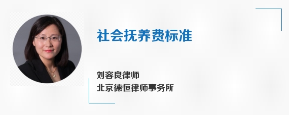 社会抚养费标准