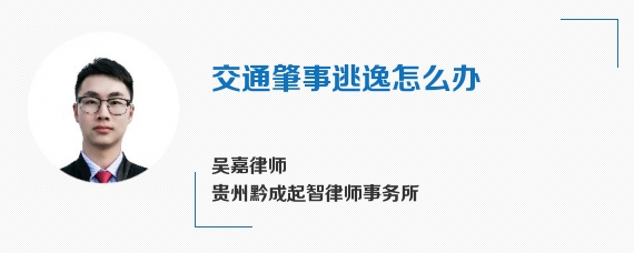 交通肇事逃逸怎么办