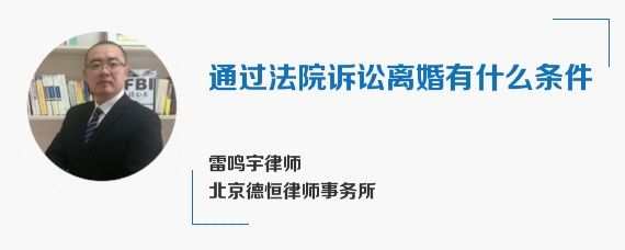 通过法院诉讼离婚有什么条件