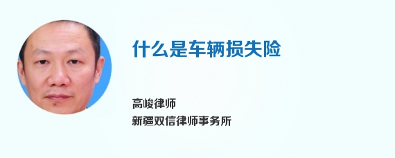 什么是车辆损失险