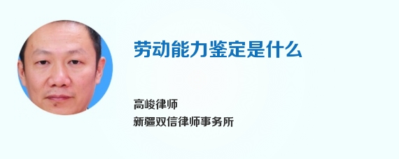 劳动能力鉴定是什么