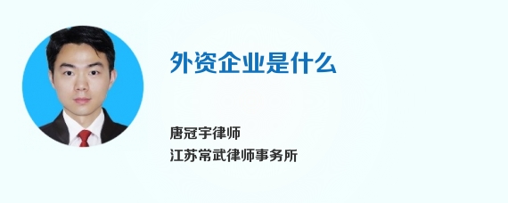 外资企业是什么