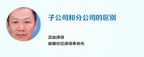 子公司和分公司的区别