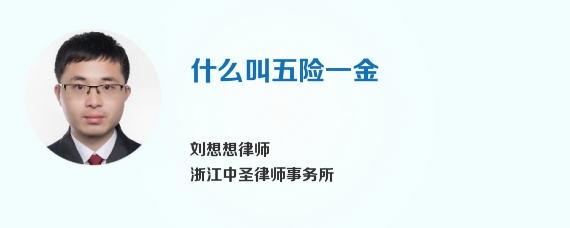 什么叫五险一金