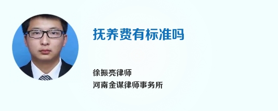 抚养费有标准吗