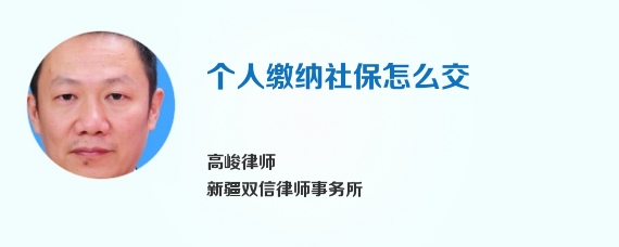 个人缴纳社保怎么交