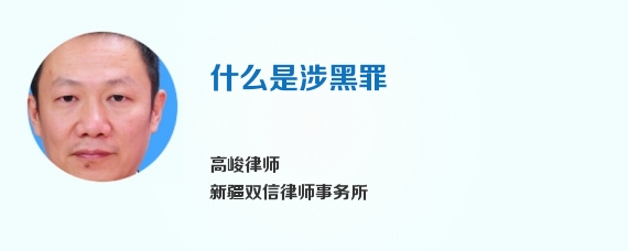 什么是涉黑罪