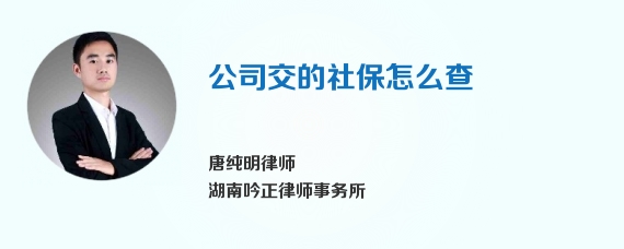 公司交的社保怎么查