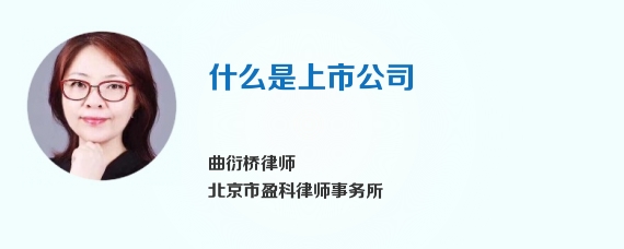 什么是上市公司