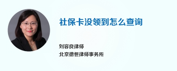 社保卡没领到怎么查询