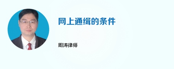 网上通缉的条件