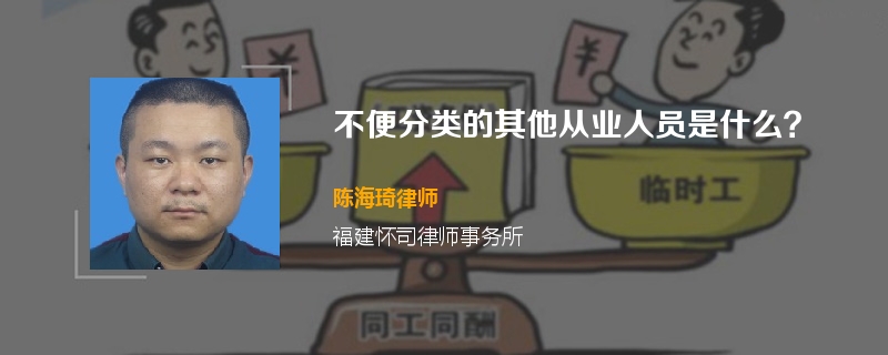 不便分类的其他从业人员是什么？