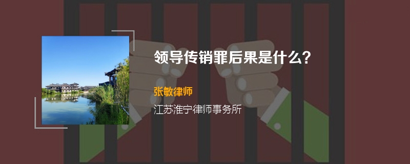 领导传销罪后果是什么？