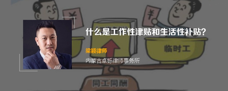 什么是工作性津贴和生活性补贴？