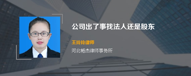 公司出了事找法人还是股东