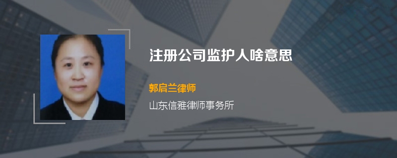 注册公司监护人啥意思