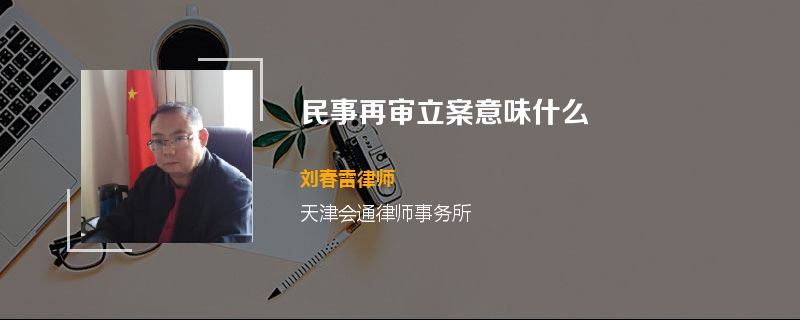 民事再审立案意味什么