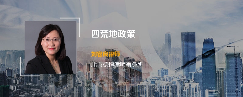 四荒地政策