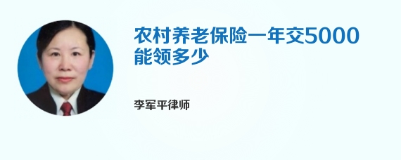 农村养老保险一年交5000能领多少