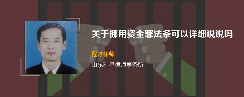 关于挪用资金罪法条可以详细说说吗