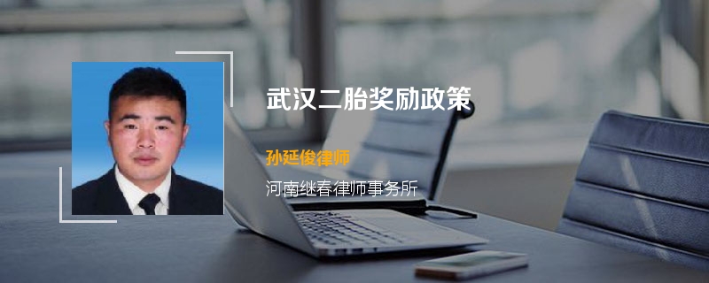 武汉二胎奖励政策