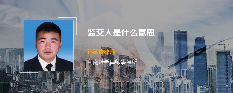 监交人是什么意思