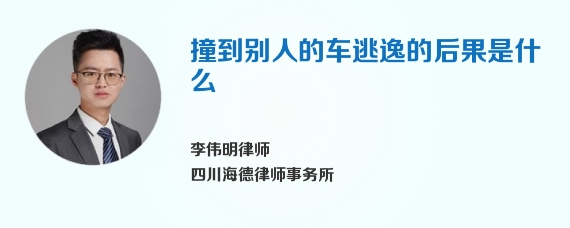 撞到别人的车逃逸的后果是什么