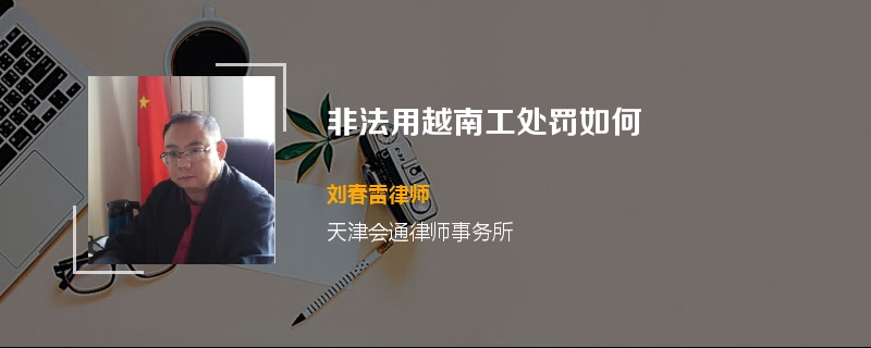 非法用越南工处罚如何