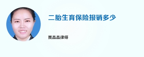 二胎生育保险报销多少
