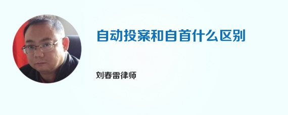 自动投案和自首什么区别