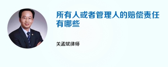 所有人或者管理人的赔偿责任有哪些