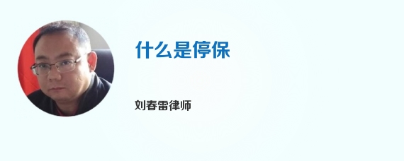 什么是停保