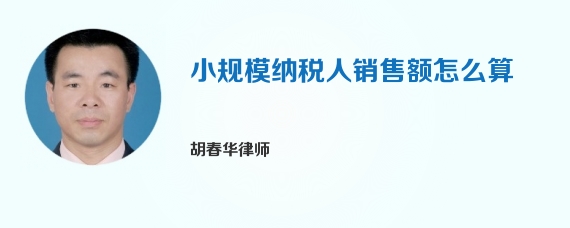 小规模纳税人销售额怎么算