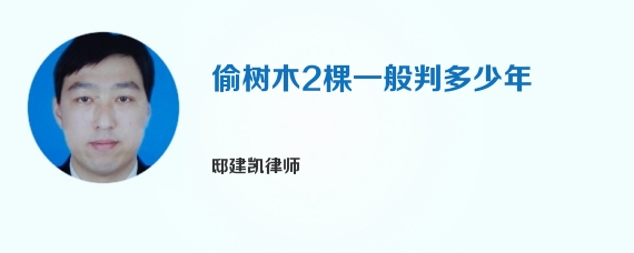 偷树木2棵一般判多少年
