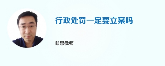 行政处罚一定要立案吗