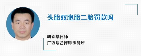 头胎双胞胎二胎罚款吗