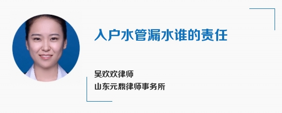 入户水管漏水谁的责任