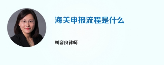 海关申报流程是什么