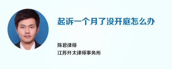 起诉一个月了没开庭怎么办