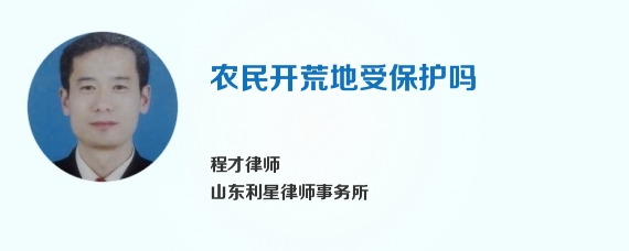 农民开荒地受保护吗