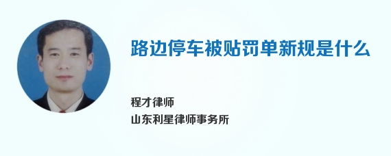 路边停车被贴罚单新规是什么