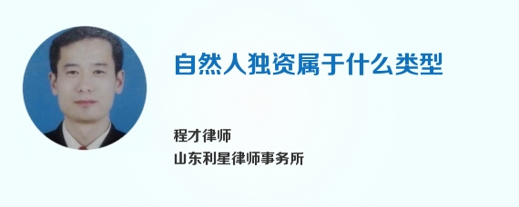 自然人独资属于什么类型