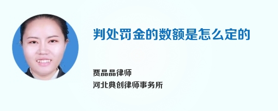 判处罚金的数额是怎么定的