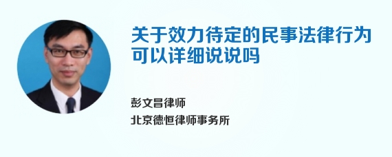 关于效力待定的民事法律行为可以详细说说吗