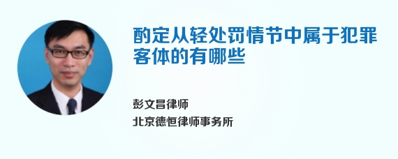 酌定从轻处罚情节中属于犯罪客体的有哪些