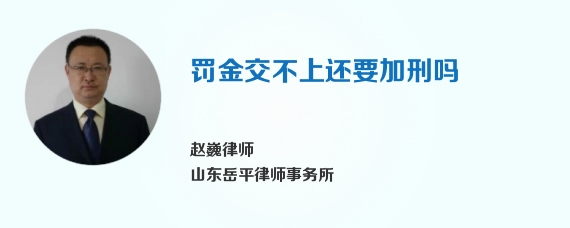 罚金交不上还要加刑吗